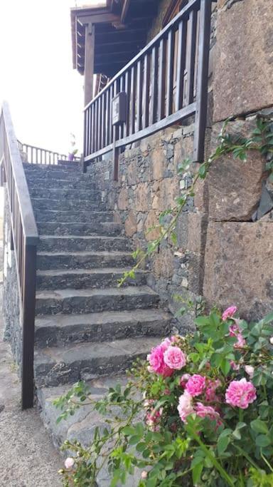 Villa Casa Tia Rosa. Costa Adeje  Exterior foto